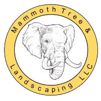 Yellow-ring logo showing elephant head and company name