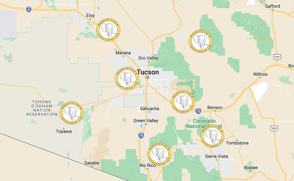 Map showing Tucson, Arizona, and surrounding areas with clock icons.