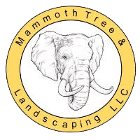 Circular emblem with elephant sketch and lettering