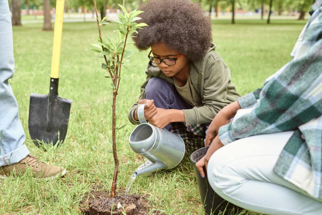 Little boy watering small tree after planting it in park