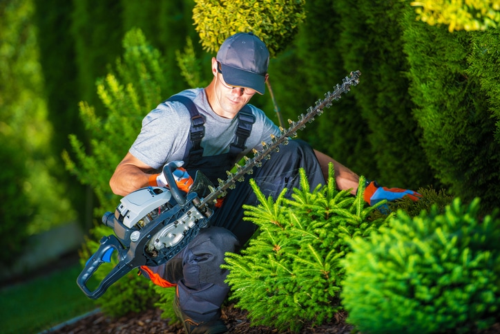 Professional Gardener with His Equipment During His Work