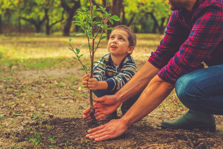 Child and adult planting a small tree together outdoors.