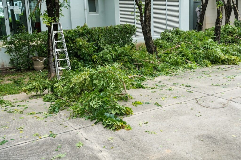 Freshly trimmed branches piled up near a house and driveway.