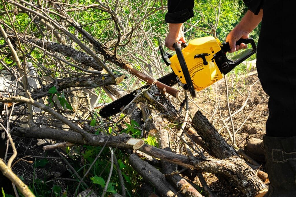 man sawing tree branches