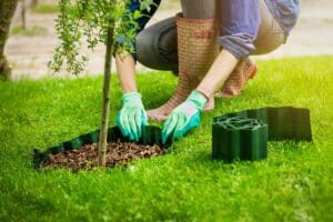 woman install plastic around the tree